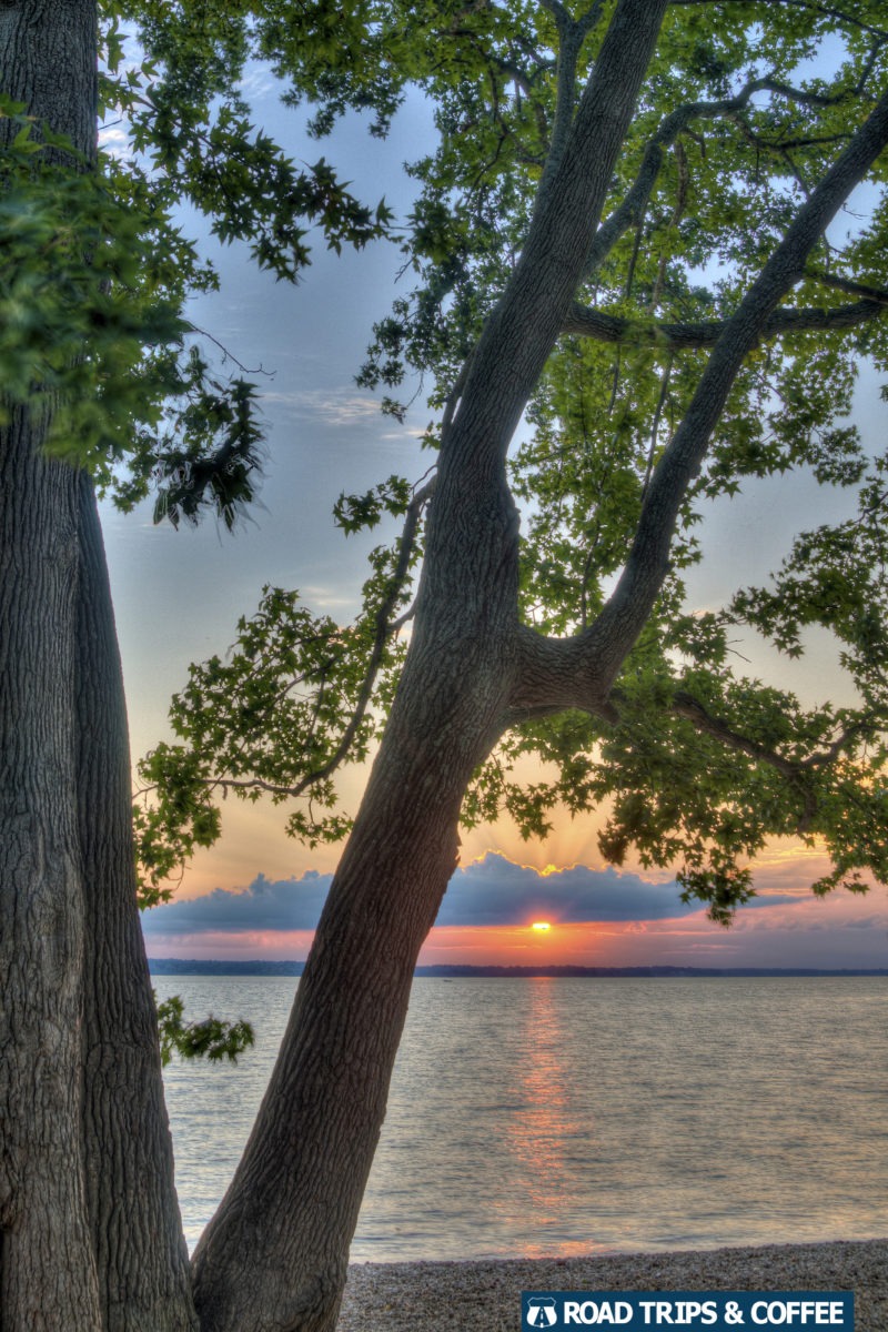 Warm sunset beyond a tree across the calm water of Kentucky Lake at the Moss Creek Day Use Area at Land Between the Lakes National Recreation Area