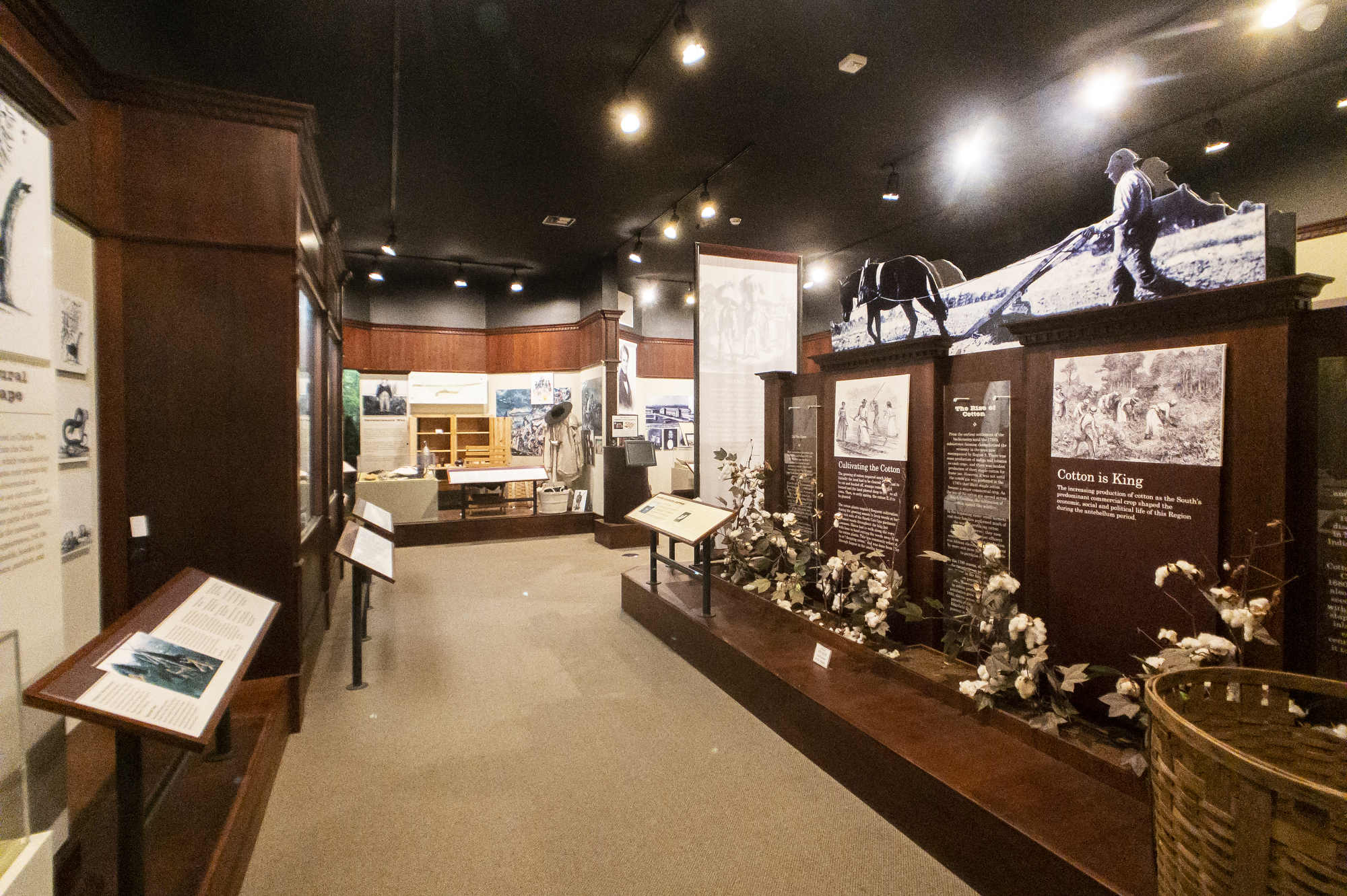 Exhibits inside the Joanne T. Rainsford Discovery Center in Edgefield, South Carolina.