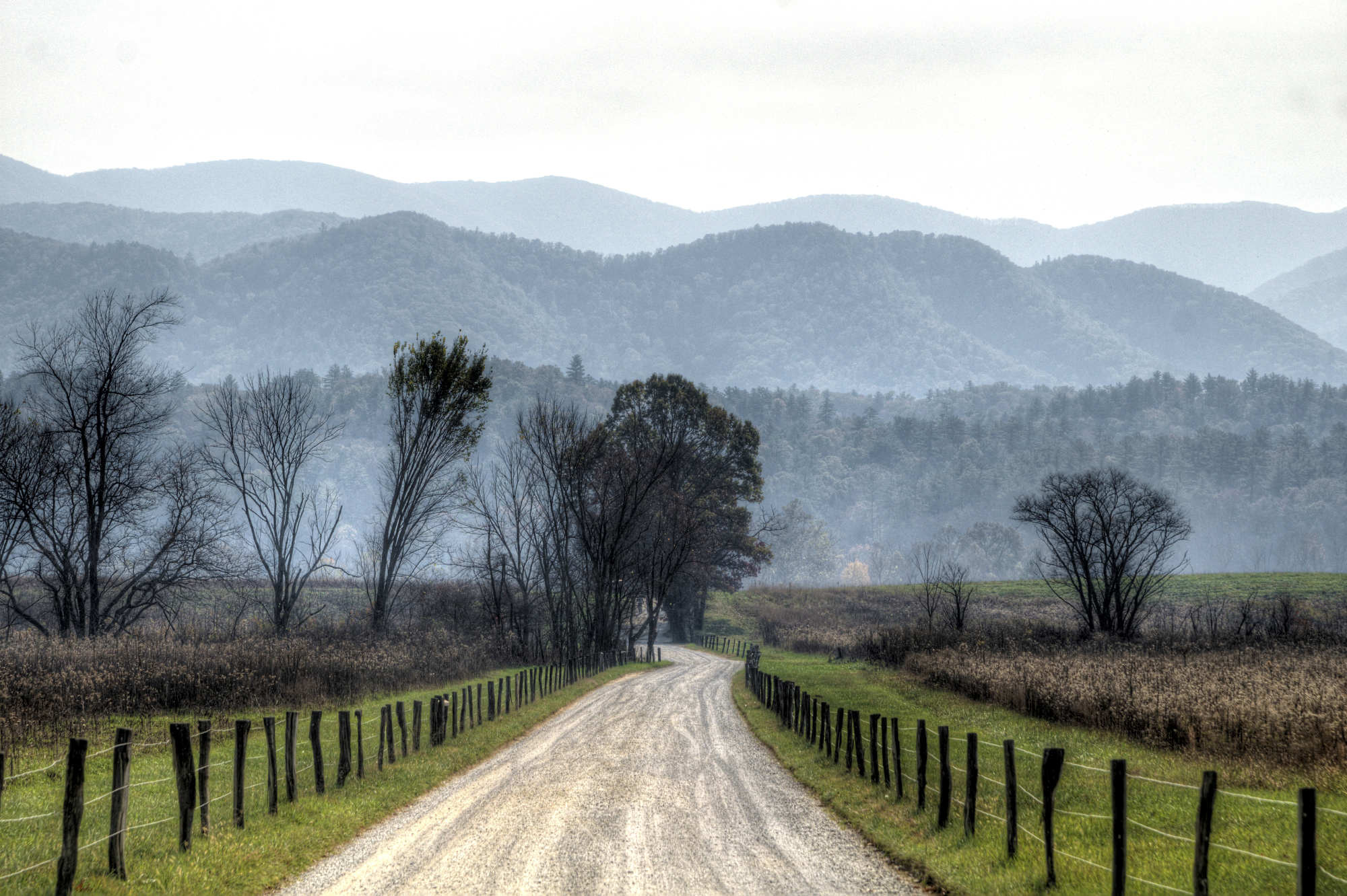 A long gravel road with rustic wooden fences on both sides and mountain peaks in the distance in Cades Cove in Great Smoky Mountains National Park.