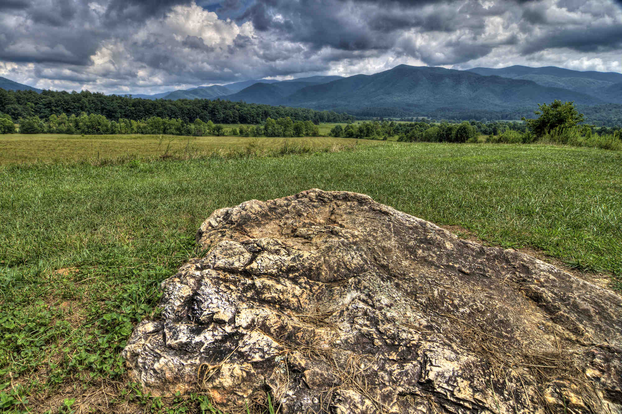 The view from a slight hill overlooking the green meadows of Cades Cove in Great Smoky Mountains National Park.